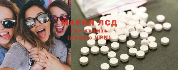 хмурый Бородино