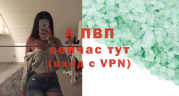хмурый Бородино
