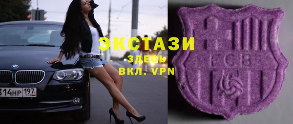хмурый Бородино