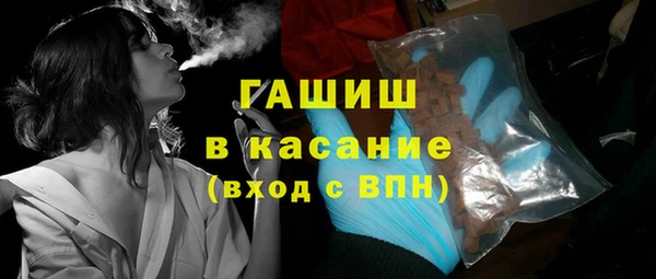 хмурый Бородино