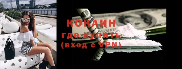 хмурый Бородино
