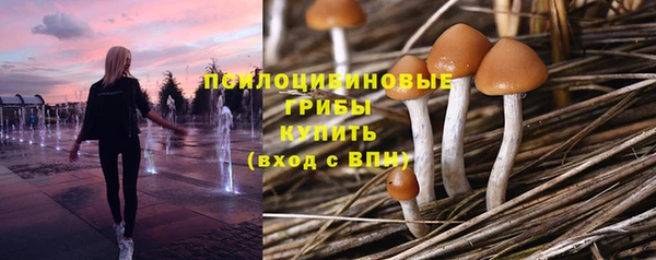 MDMA Premium VHQ Бронницы